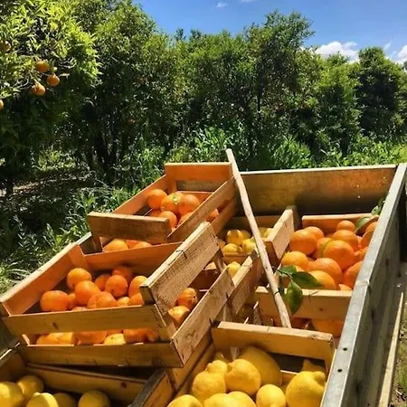 Quinta Com Piscina Exclusiva E Experiencias Unicas Aveiras de Baixo